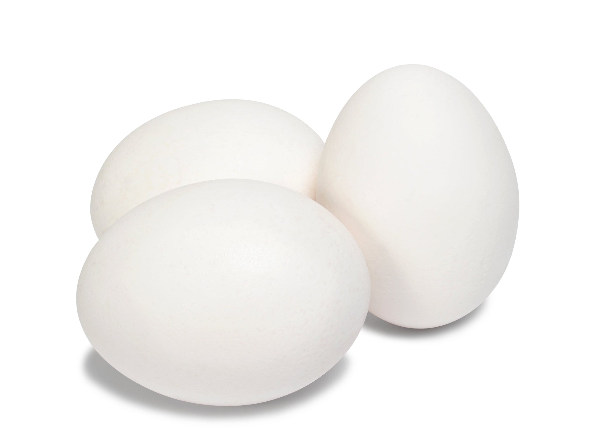 stm>Eggs Large White, dozen