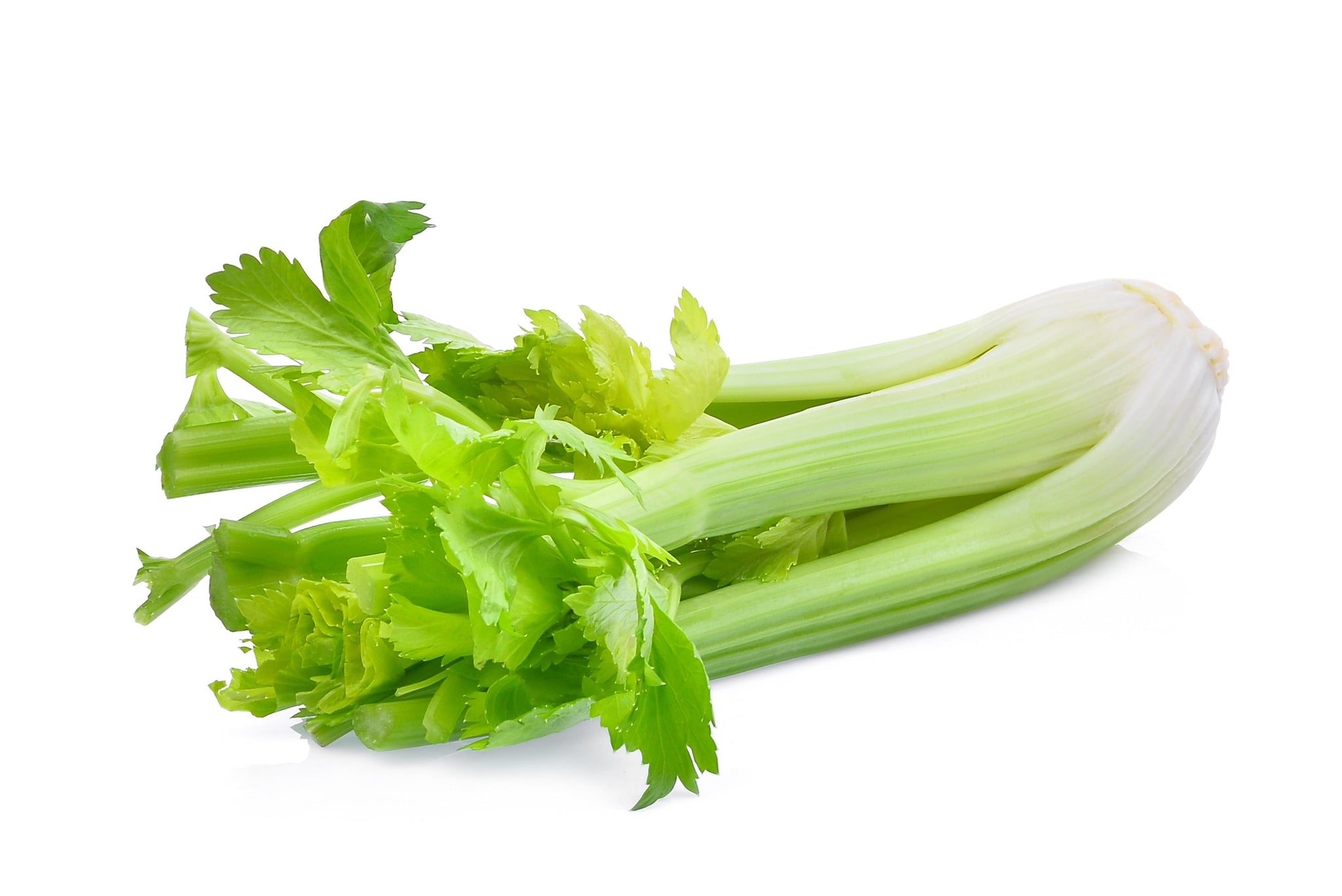 stm>Celery Bunch