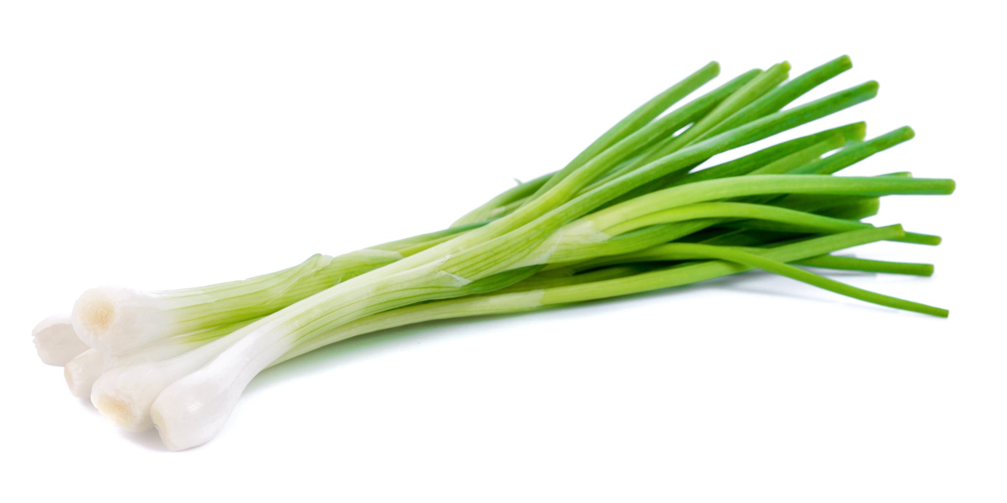 stm>Green Onions, bunch