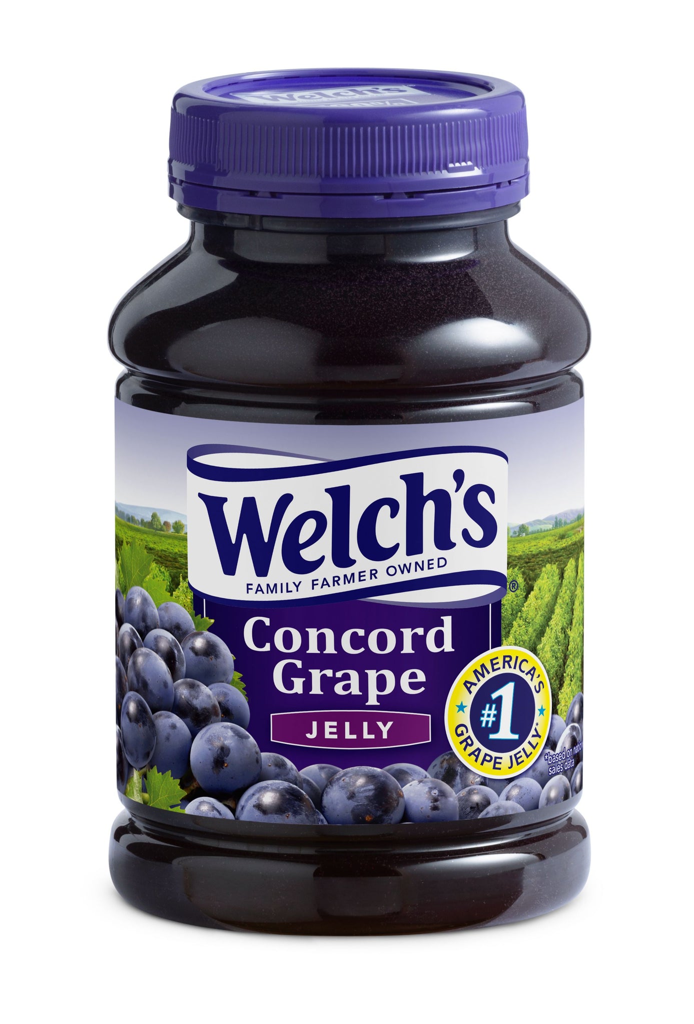 stl>Welch's Grape Jelly - 30oz