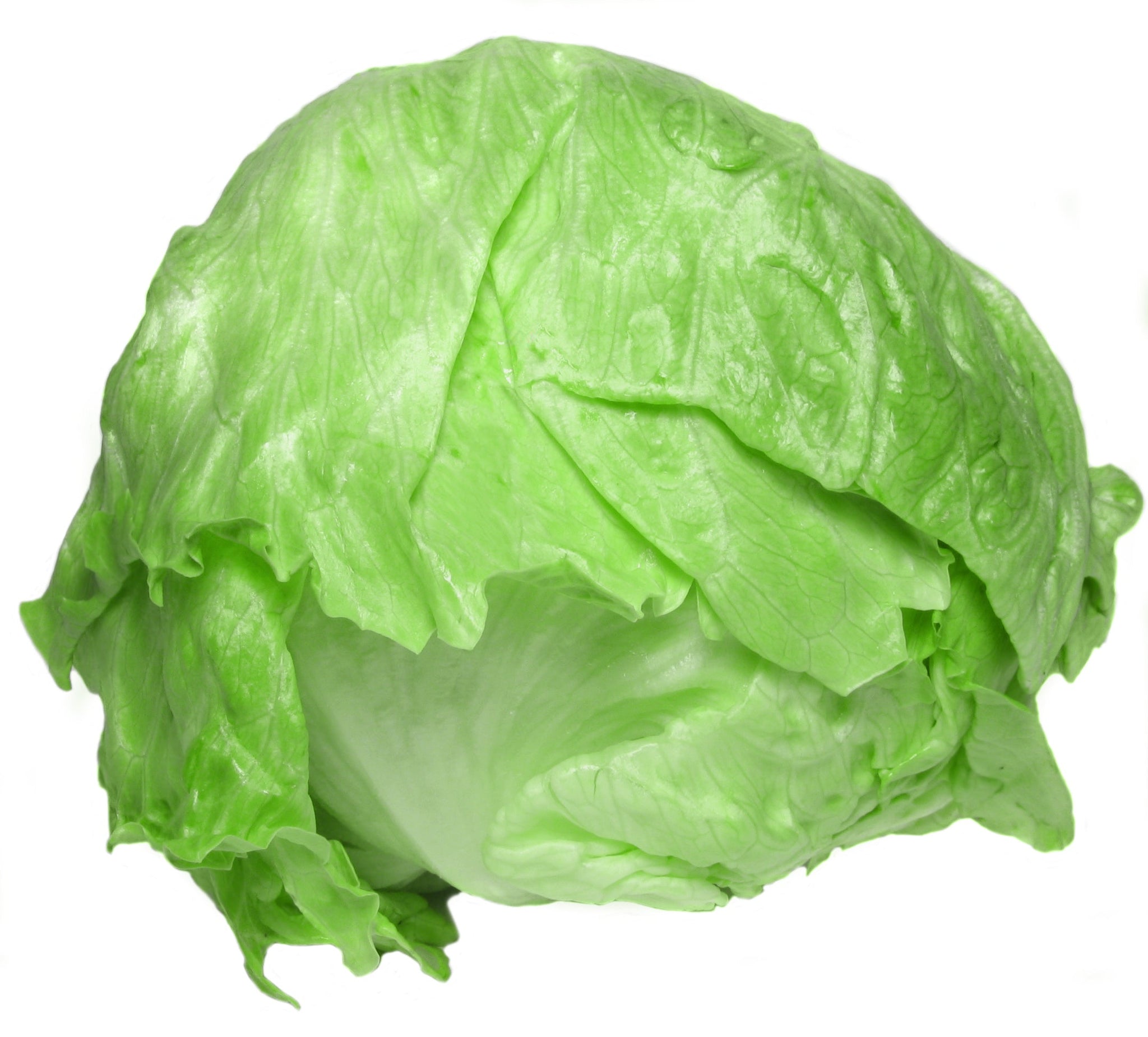 gre>Lettuce - Ice Berg - 1 Lettuce