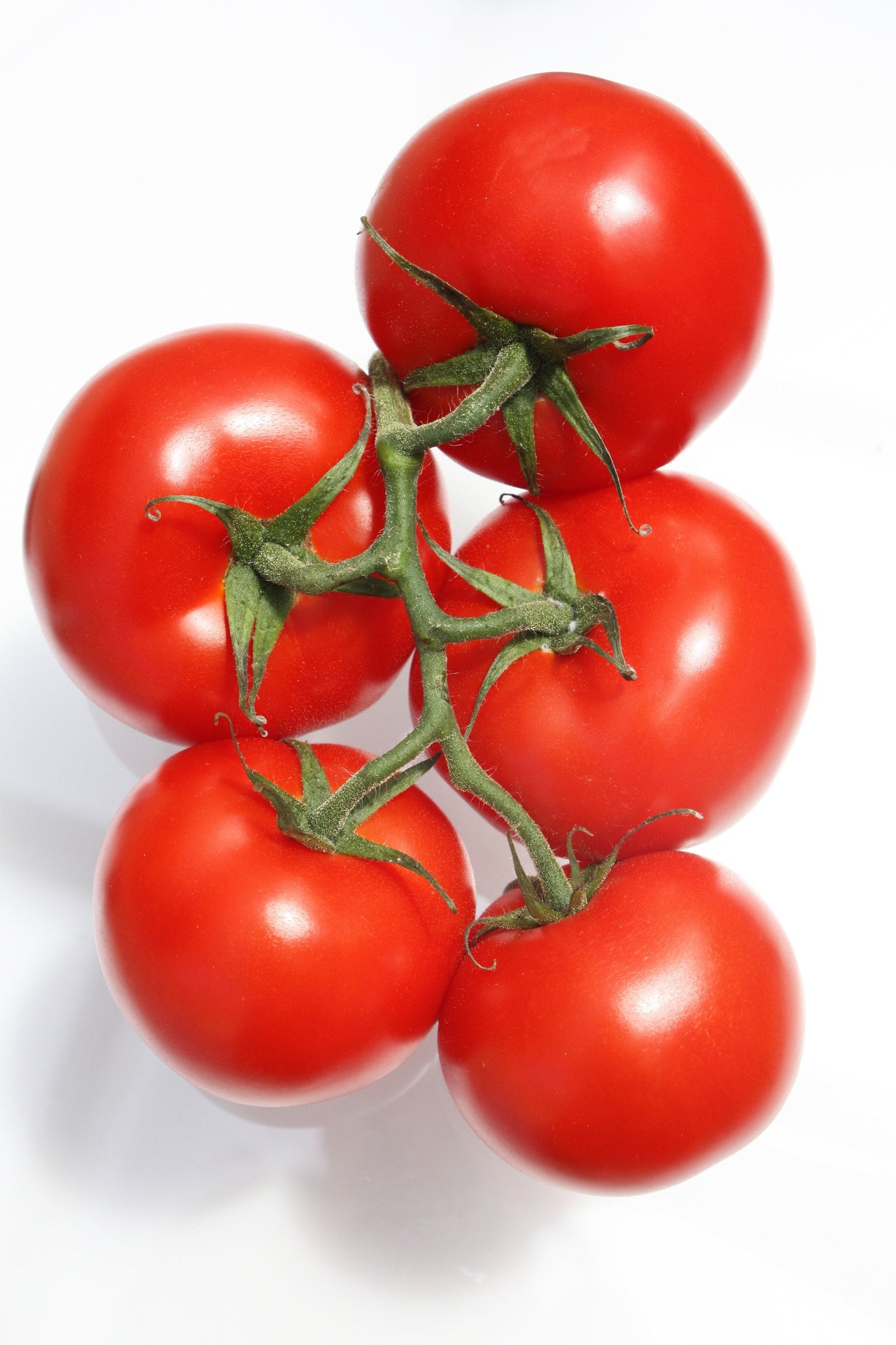 gre>Tomatoes - per lb