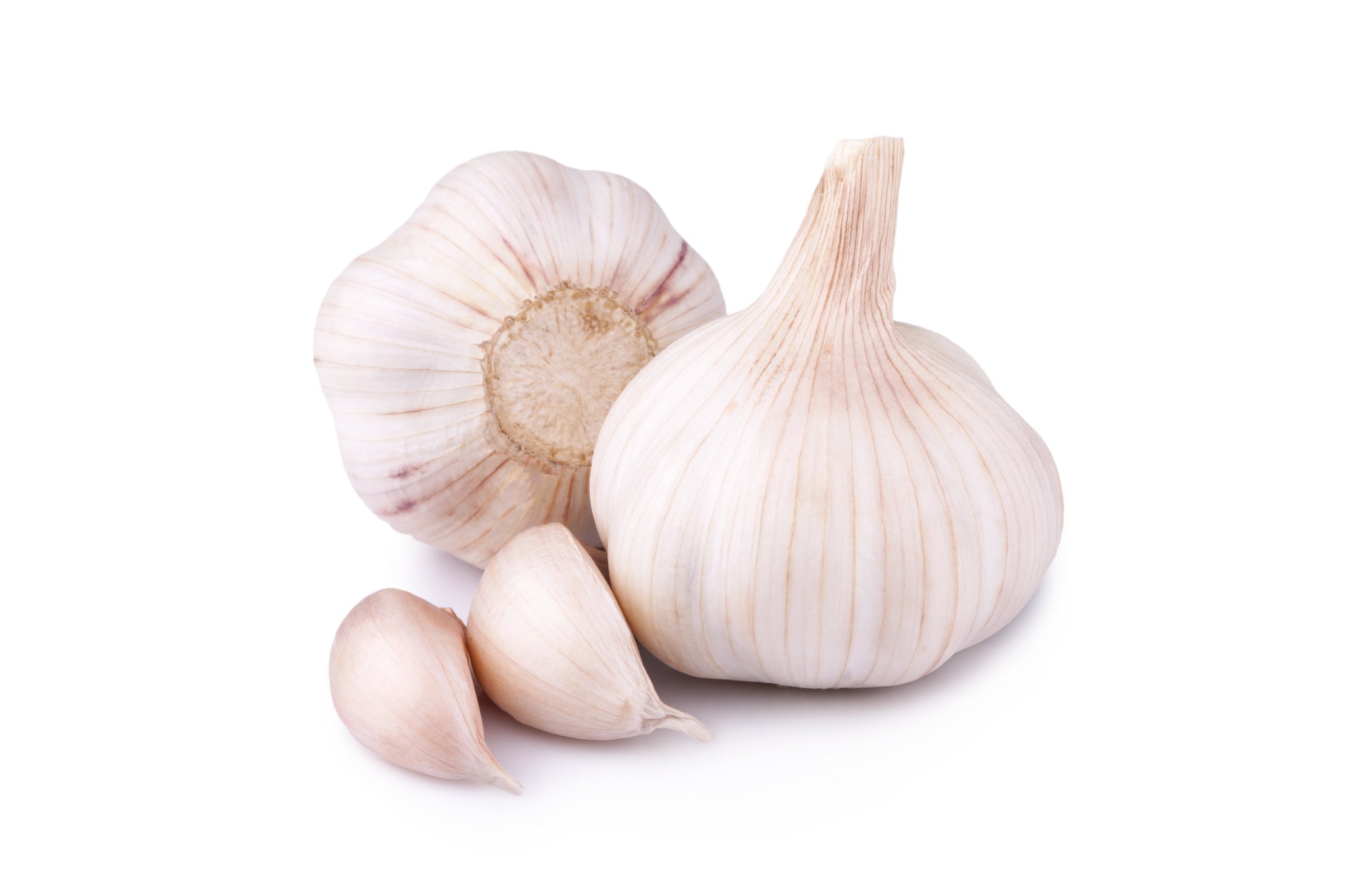 bel>Garlic, fresh, pack of 3