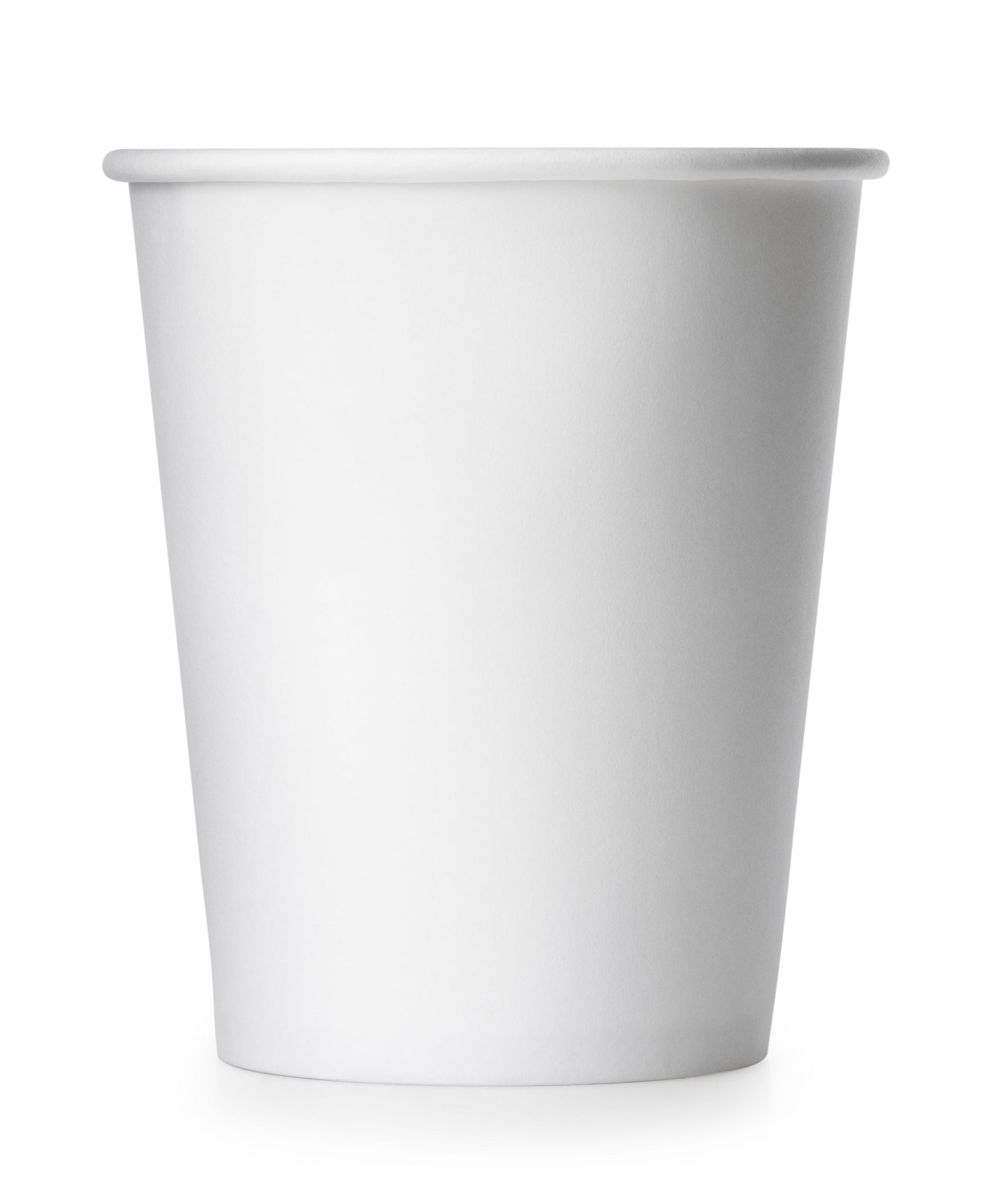 bel>Ecofriendly Solutions Disposable Cups