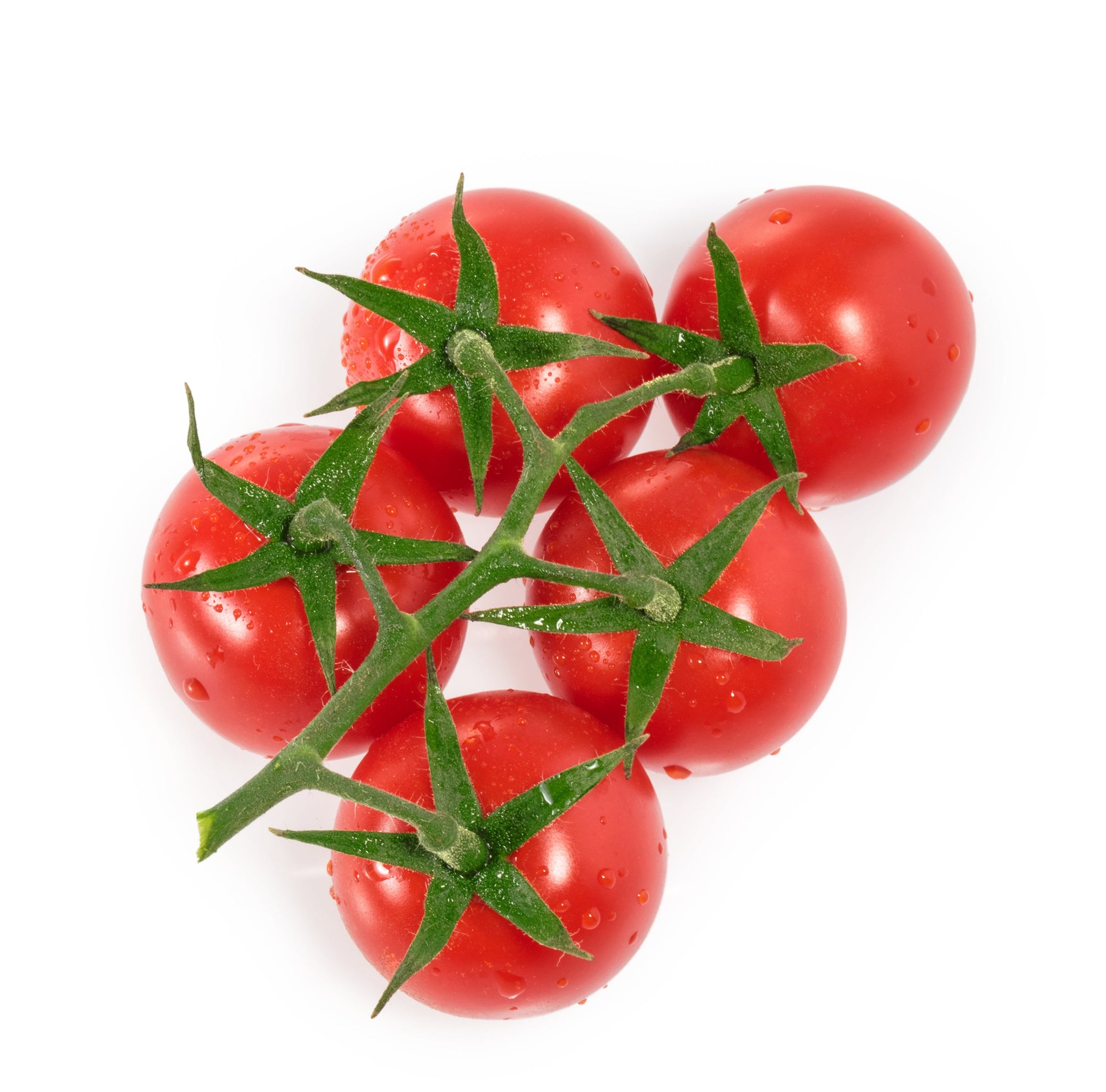 tah>Tomatoes 1kg