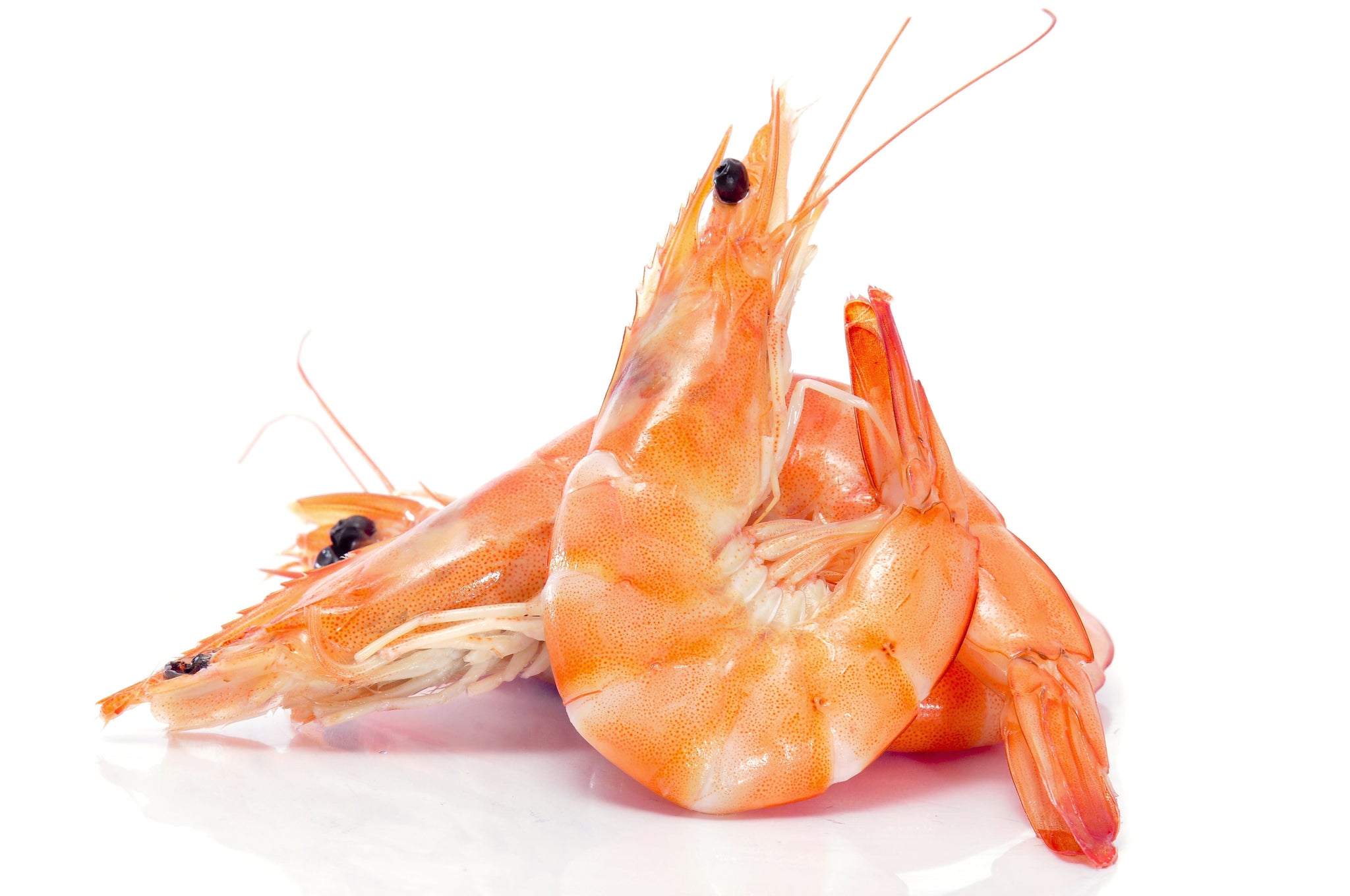 sey>Shrimps, 1kg