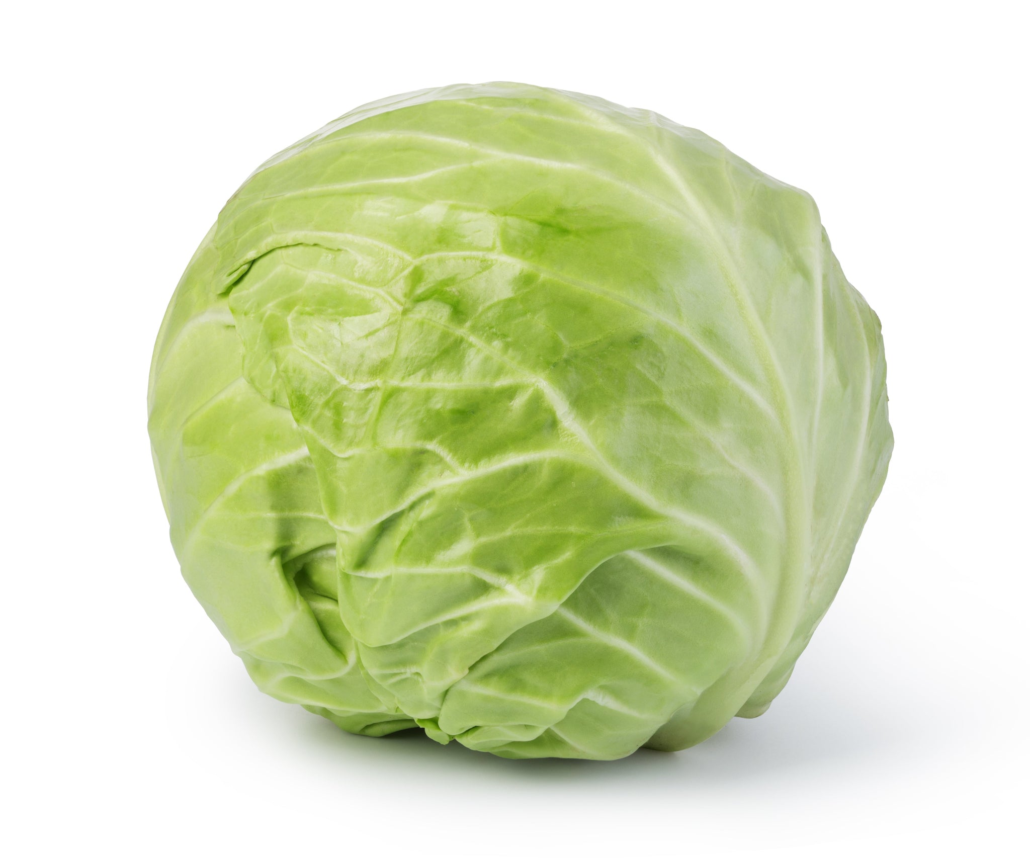 sey>Green Cabbage
